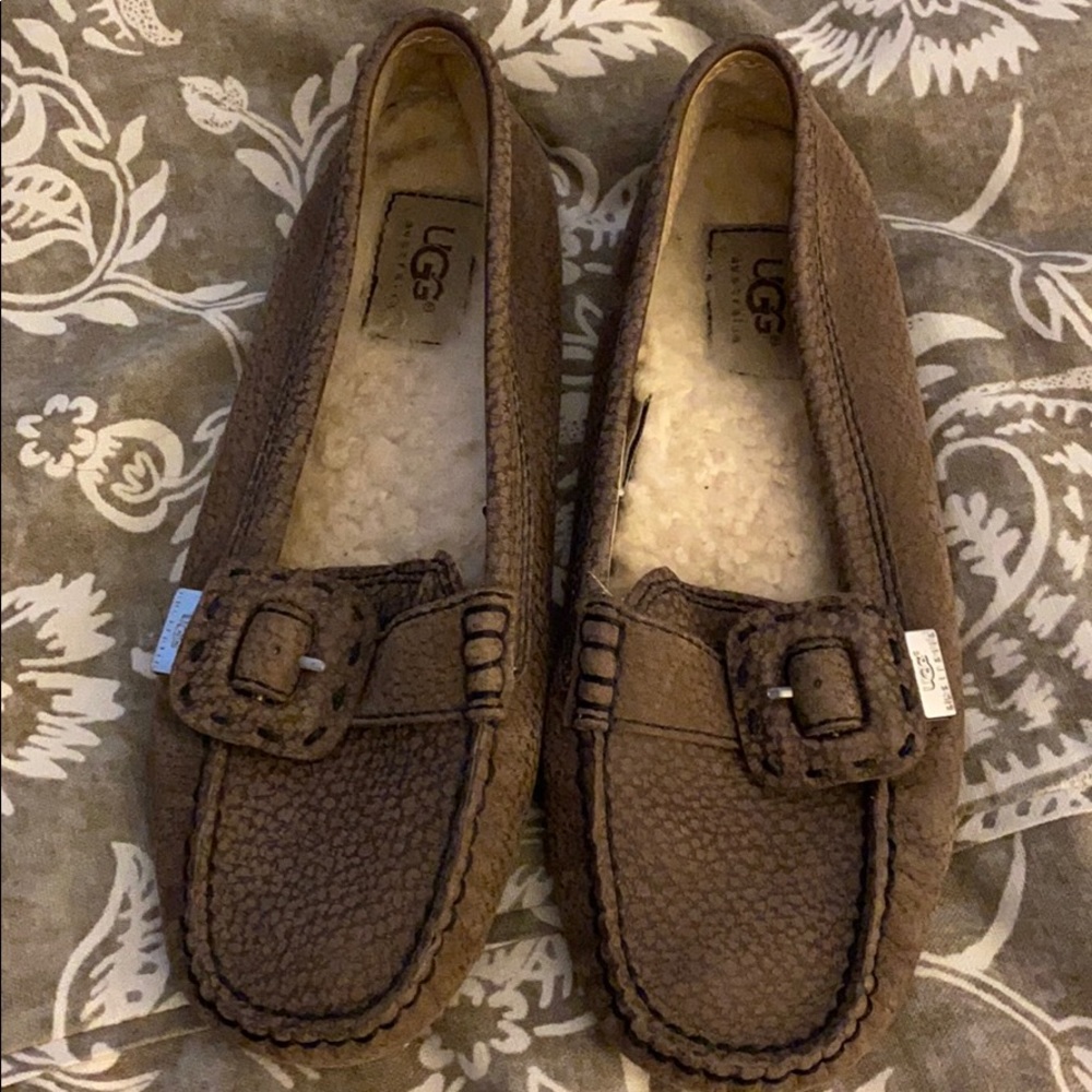 Ugg Shoes!